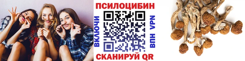 закладки  Новое Девяткино  Галлюциногенные грибы MAGIC MUSHROOMS 
