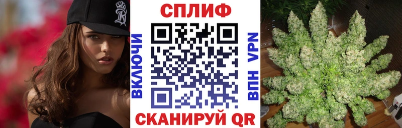 Марихуана сатива  кракен   Новое Девяткино 